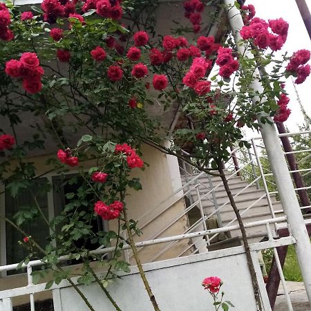 Hotel Mti House Kvesheti Zewnętrze zdjęcie