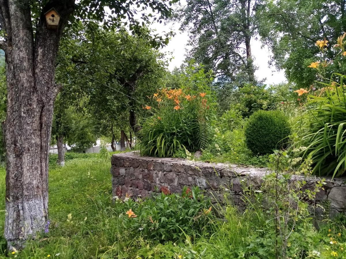 Hotel Mti House Kvesheti Zewnętrze zdjęcie